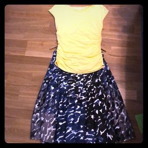 Impressionist Skirt